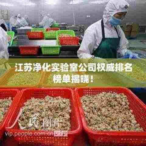 江苏净化实验室公司权威排名榜单揭晓!