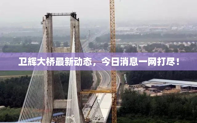 卫辉大桥最新动态,今日消息一网打尽!