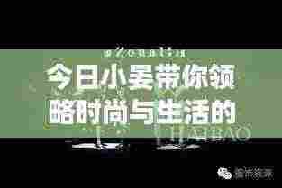今日小晏带你领略时尚与生活的无限魅力,最新视频探索潮流风采