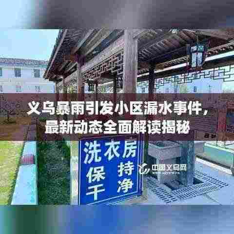 义乌暴雨引发小区漏水事件,最新动态全面解读揭秘