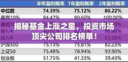 揭秘基金上涨之星，投资市场顶尖公司排名榜单！