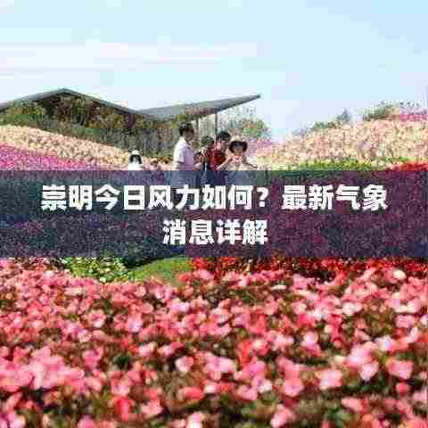 崇明今日风力如何?最新气象消息详解