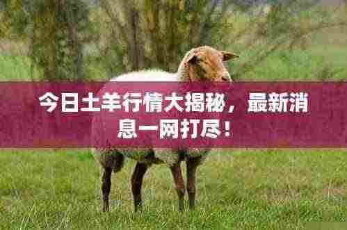 丰容盛鬋 第4页