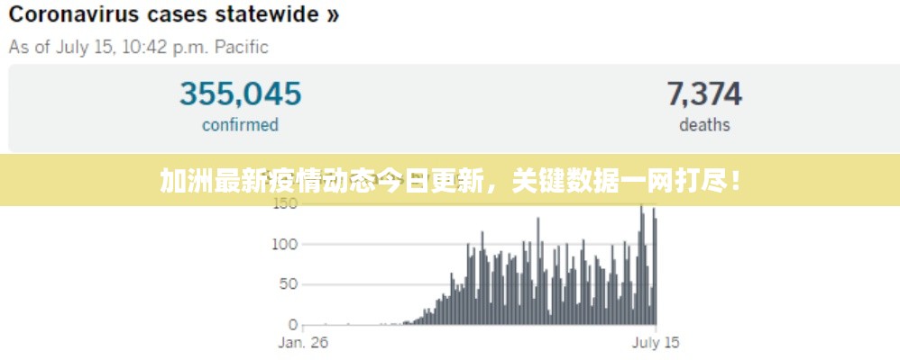 加洲最新疫情动态今日更新,关键数据一网打尽!