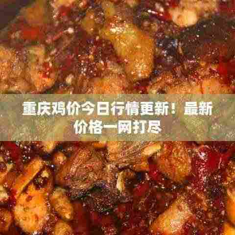 重庆鸡价今日行情更新!最新价格一网打尽