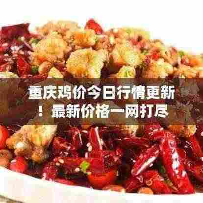 重庆鸡价今日行情更新!最新价格一网打尽