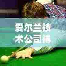 爱尔兰技术公司排名大揭秘,探寻顶尖科技企业榜单!