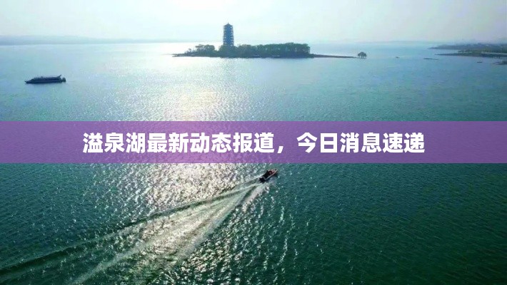 溢泉湖最新动态报道,今日消息速递