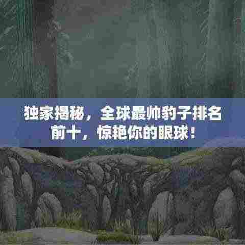 独家揭秘,全球最帅豹子排名前十,惊艳你的眼球!