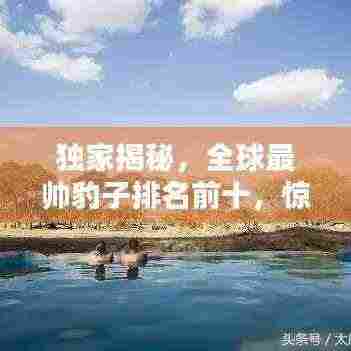 独家揭秘,全球最帅豹子排名前十,惊艳你的眼球!