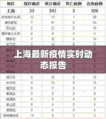 上海最新疫情实时动态报告