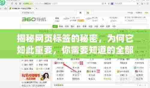揭秘网页标签的秘密,为何它如此重要,你需要知道的全部内容!