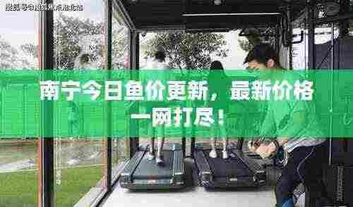 南宁今日鱼价更新,最新价格一网打尽!