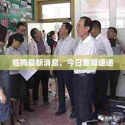 临朐最新消息，今日要闻速递