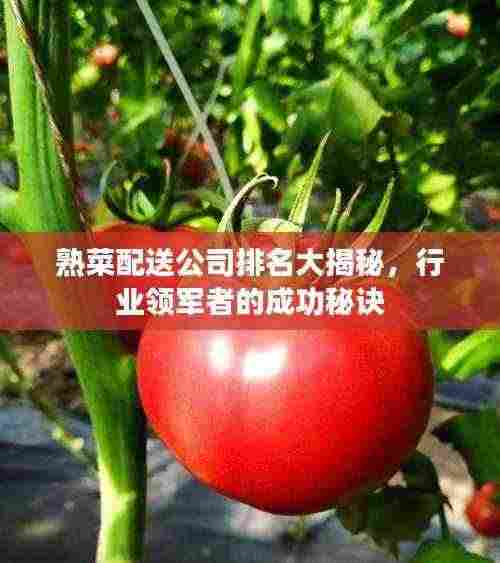 熟菜配送公司排名大揭秘,行业领军者的成功秘诀