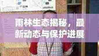 雨林生态揭秘,最新动态与保护进展速递