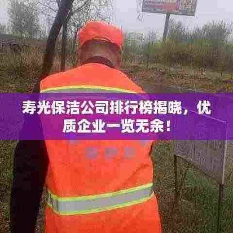 寿光保洁公司排行榜揭晓,优质企业一览无余!