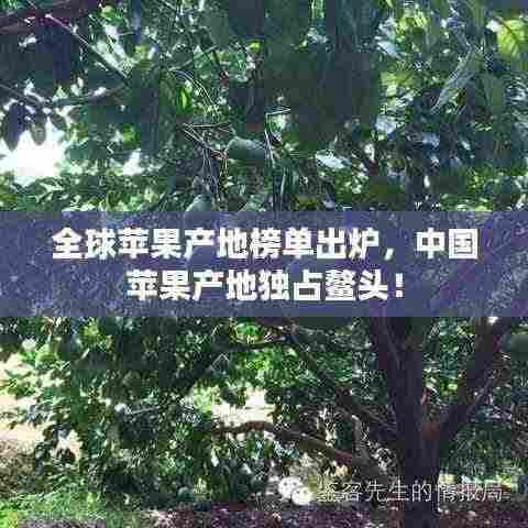 全球苹果产地榜单出炉,中国苹果产地独占鳌头!