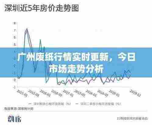 广州废纸行情实时更新,今日市场走势分析