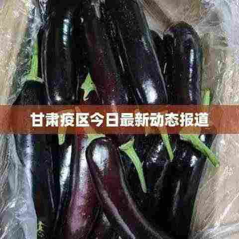 甘肃疫区今日最新动态报道