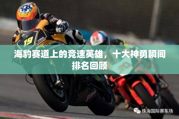 海豹赛道上的竞速英雄,十大神勇瞬间排名回顾