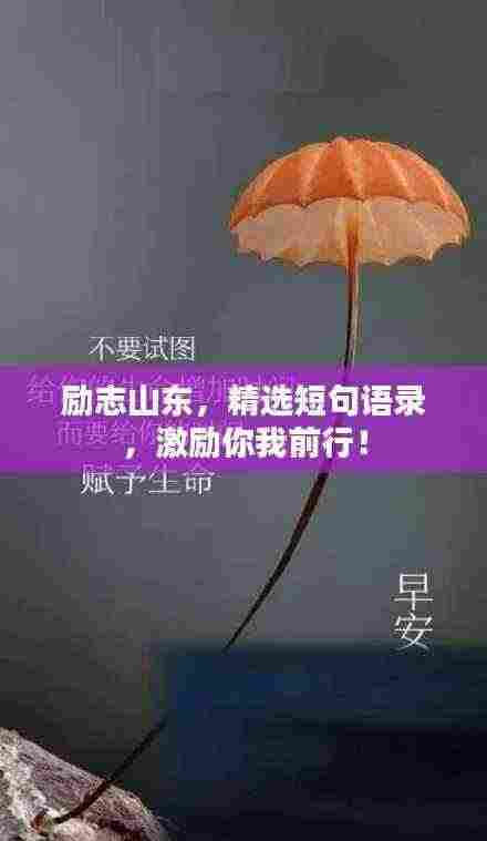 励志山东,精选短句语录,激励你我前行!