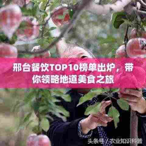 邢台餐饮TOP10榜单出炉,带你领略地道美食之旅