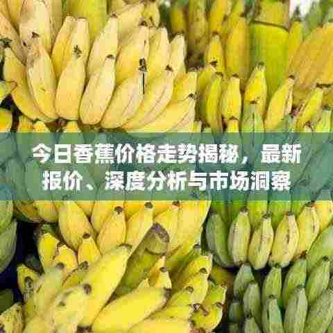 今日香蕉价格走势揭秘,最新报价、深度分析与市场洞察