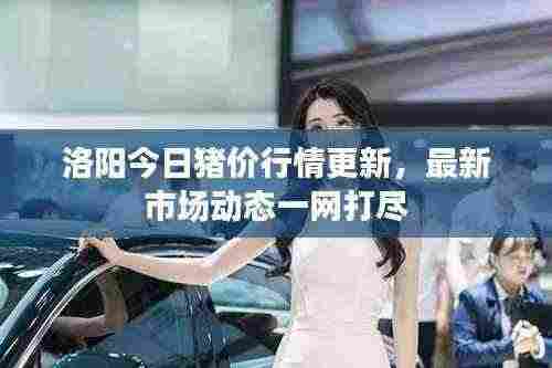 洛阳今日猪价行情更新,最新市场动态一网打尽