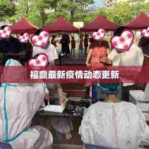 福鼎最新疫情动态更新
