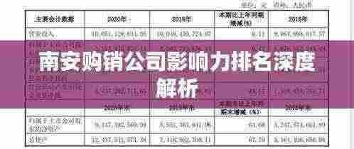南安购销公司影响力排名深度解析