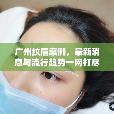 广州纹眉案例,最新消息与流行趋势一网打尽