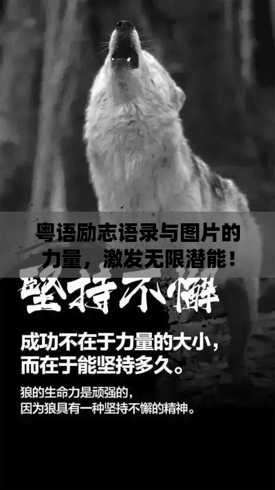 粤语励志语录与图片的力量,激发无限潜能!