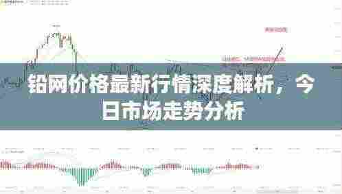 铅网价格最新行情深度解析，今日市场走势分析