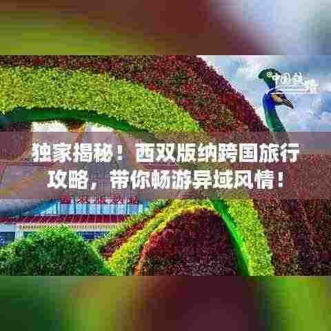 独家揭秘!西双版纳跨国旅行攻略,带你畅游异域风情!