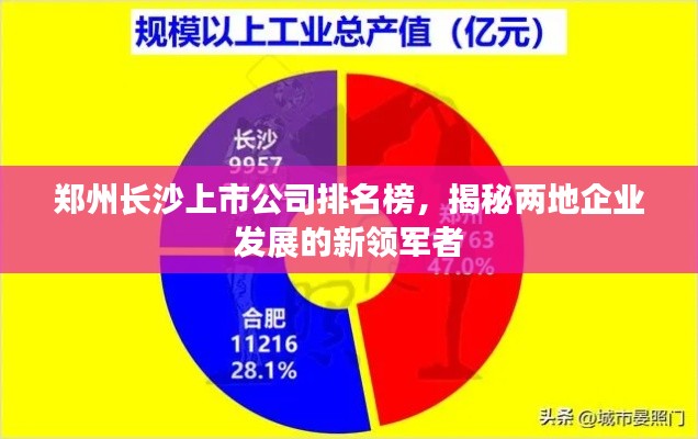 郑州长沙上市公司排名榜，揭秘两地企业发展的新领军者