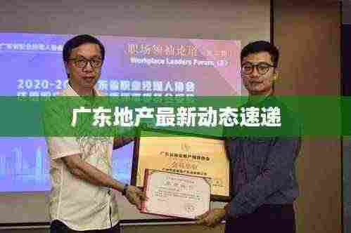 广东地产最新动态速递