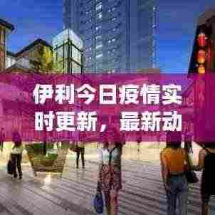 伊利今日疫情实时更新,最新动态速递