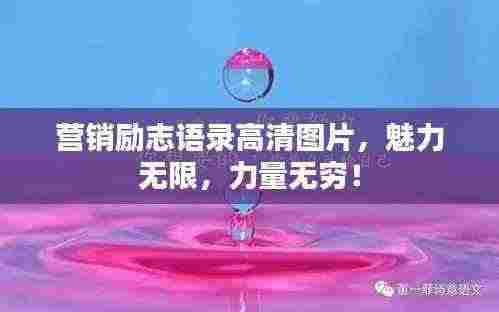 营销励志语录高清图片,魅力无限,力量无穷!
