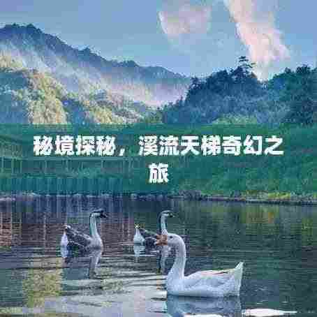秘境探秘,溪流天梯奇幻之旅