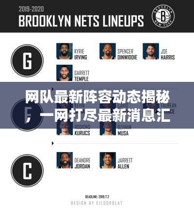 网队最新阵容动态揭秘,一网打尽最新消息汇总!