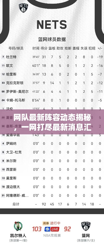 网队最新阵容动态揭秘,一网打尽最新消息汇总!