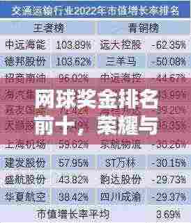 网球奖金排名前十，荣耀与财富的榜单揭晓！