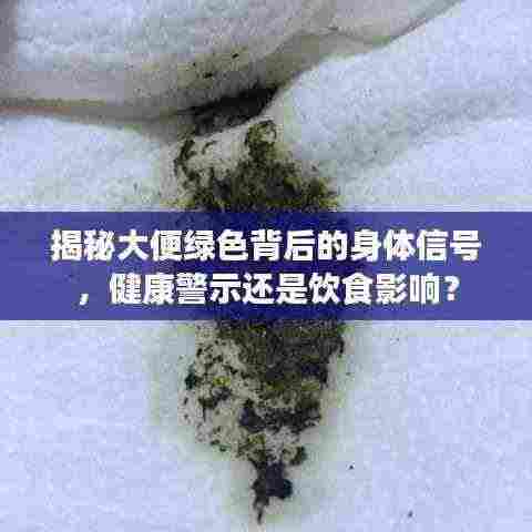 揭秘大便绿色背后的身体信号,健康警示还是饮食影响?