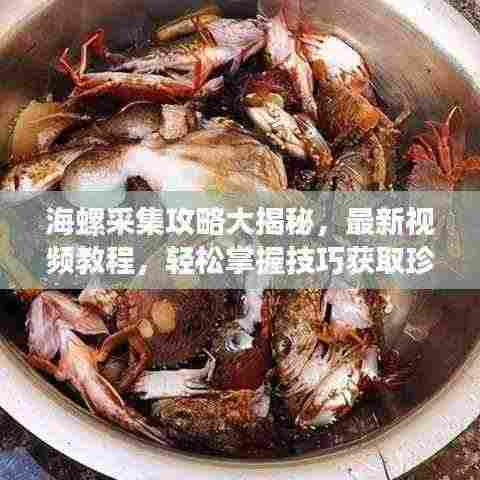 无独有偶 第3页