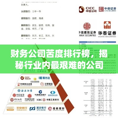 财务公司苦度排行榜,揭秘行业内最艰难的公司TOP榜单