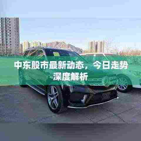 中东股市最新动态,今日走势深度解析
