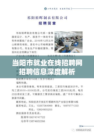 当阳市就业在线招聘网招聘信息深度解析