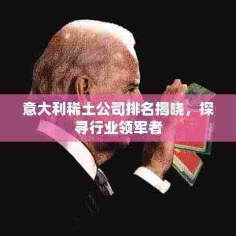 意大利稀土公司排名揭晓,探寻行业领军者