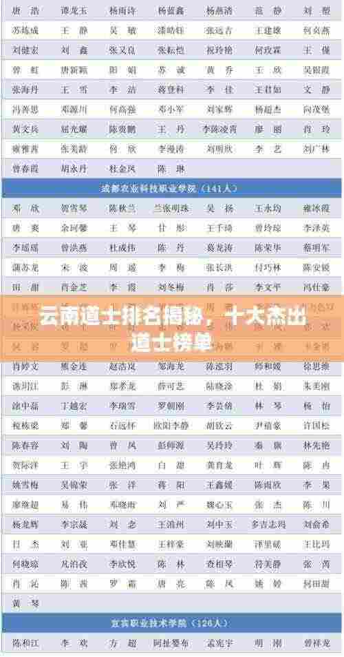 云南道士排名揭秘,十大杰出道士榜单